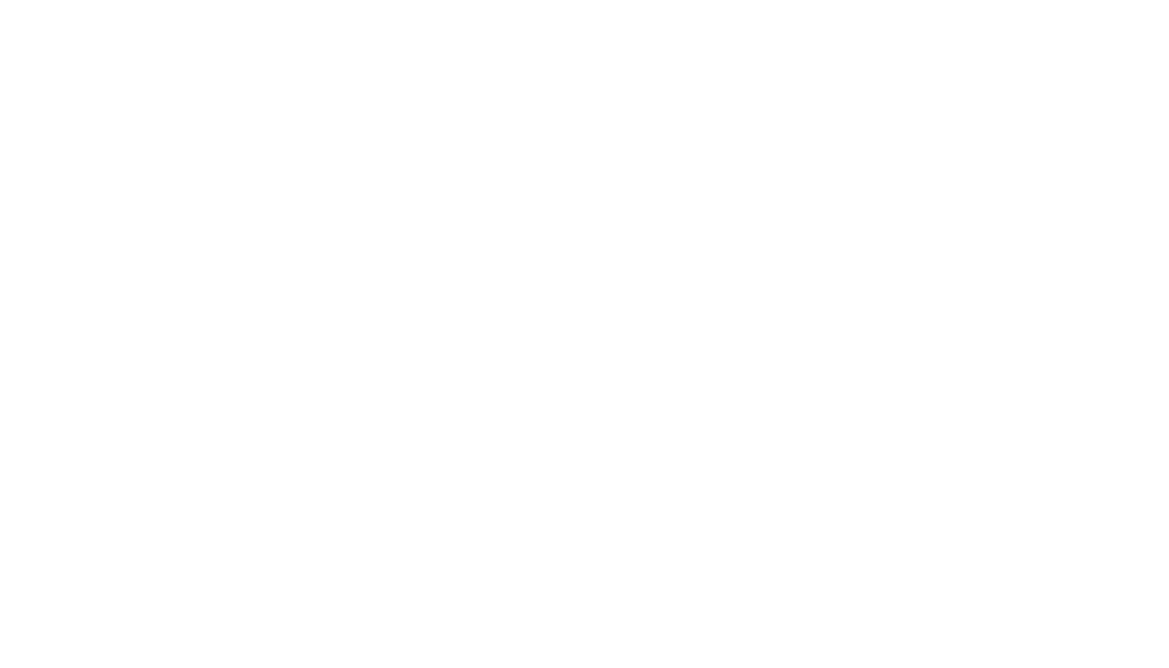 Vidu