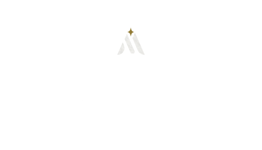 Film Festival Partner 25