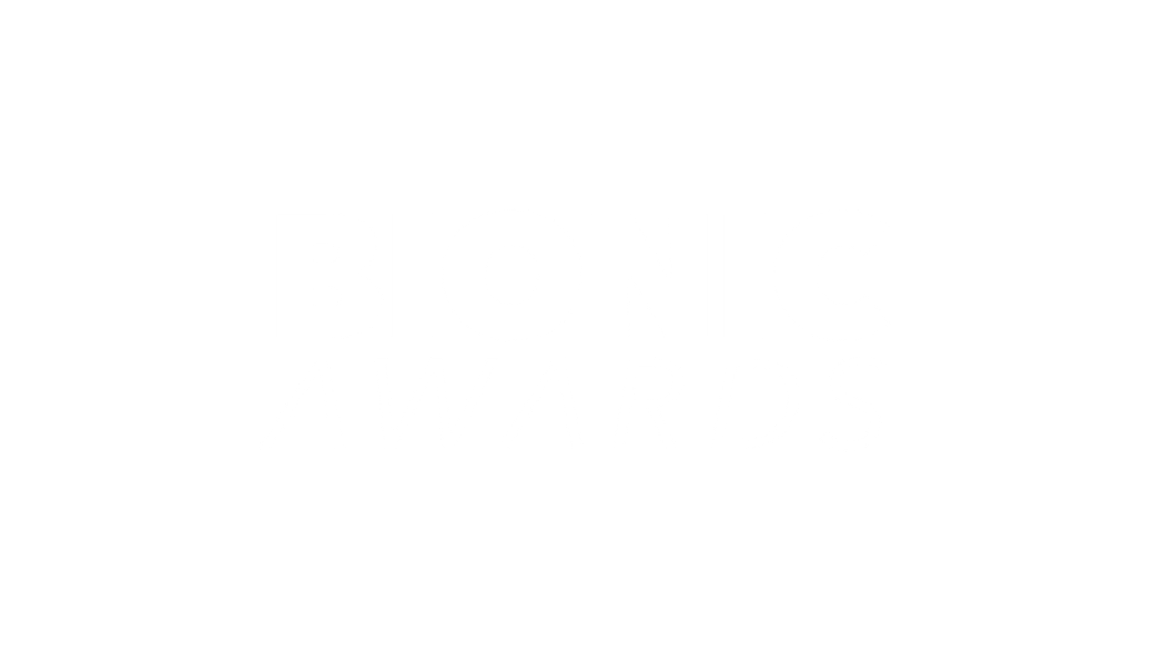 Film Festival Partner 27